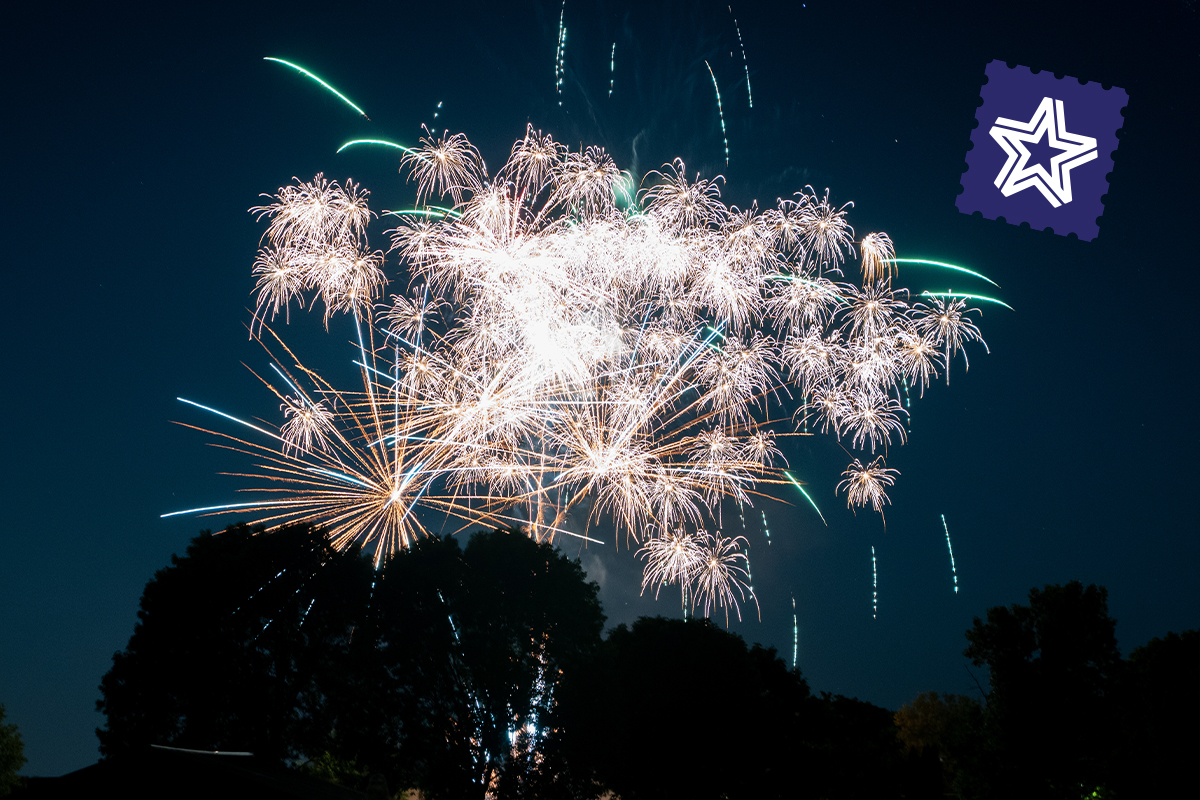 fireworks in park