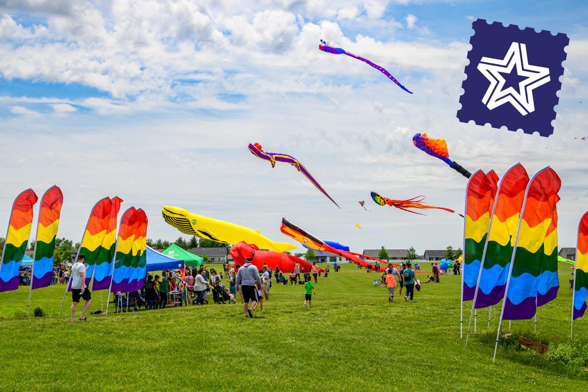 Kites and rainbow flags