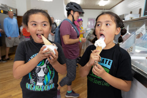 Two kids, who appear to be twins, eat ice cream cones